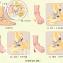 동화한의원 이미지