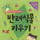 반려식물 테라리움 만들기 이미지