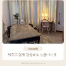 노을이야기 | 제주도 협재 해변 근처 감성 숙소 추천 노을 이야기 펜션 후기