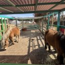 축사랑목장 이미지