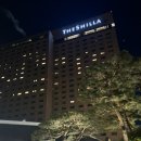 신라사우나 | 서울 신라호텔 디럭스 남산뷰 수영장 사우나 호캉스 후기