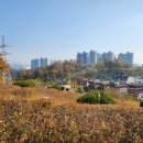 열린행정사 이미지