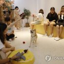 CATS TIME CAFE 이미지