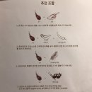 부산 동래 온천동 명륜역 양갈비 찐 맛집 추천 양선비