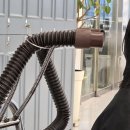 태희헤어 | 권선동 미용실 헤어다이아 인계프리미엄점 아윤채클리닉 태희 디자이너