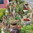 비취원펜션 이미지