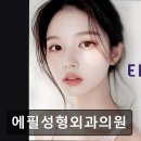 에필성형외과의원 | 서울 강남 논현동 성형외과 추천 에필성형외과의원 신뢰할 수 있는 성형외과