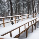 횡성온천 이미지