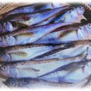 '도루묵'과 '인절미' 유래 - 손자가 들려준 이야기 이미지