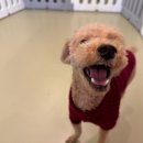 춘이네 멍치원 이미지