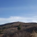 구례향기 이미지