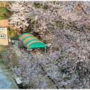 무릉펜션민박 이미지