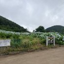 7월 제주 서귀포 병악오름 수국길, 고배기동산 아이와 가볼 만한 곳