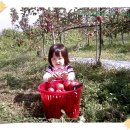 태민농장 이미지