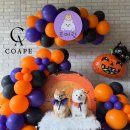 코아페농장 이미지