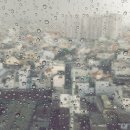 평화5(쌍둥이) 이미지