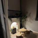 운정길 | 강릉 반려견 동반 숙소 추천, 컴페니언바이강릉 독채펜션 가족여행 후기