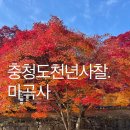 마곡사4 | 충청도 마곡사 단풍길 주차장 유네스코등제된 문화제 대웅보전