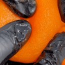 미담(MIDAM) 이미지