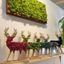 라벨메종 이미지