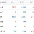 토탈디티 이미지