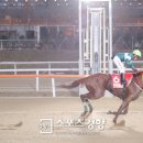 트리플나인