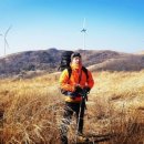 코리아세탁 이미지