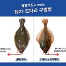 송월회포차