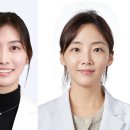 필러