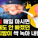 뱃살과 내장지방을 해결해주는 검은콩 생강차/장속찌꺼기를 싹 배출시켜주는 양파요구르트 이미지