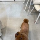 마이리틀멍 이미지