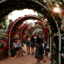 곡성-103 이미지