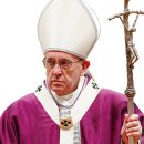 베드로목장2 이미지