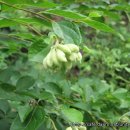 가락농장 이미지