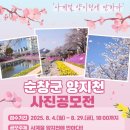 양지천 이미지