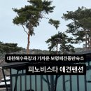 보령애견동반펜션 피노비스타 이미지