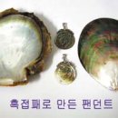 진주 이미지