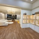 탑클래스 펫 이미지