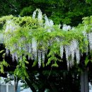 불무공원 이미지