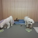 옐레드 부천상동점 이미지