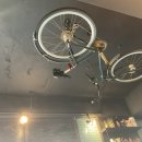 이태리광수 이미지