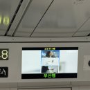 개나리세탁소 | 2026년 4월의 유제이 - 1