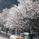 봉서3리 이미지