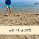 도깨비촬영지공중화장실 | 도깨비 촬영지 가족이 놀기 너무 좋은 강릉 영진해변