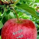 동방유통 이미지