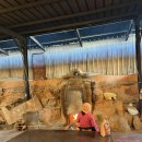 대주참숯찜질방 이미지