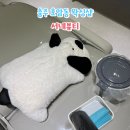 서네뷰티