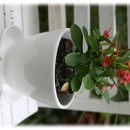 3900원의 행복 이미지