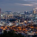 세품글로벌 이미지