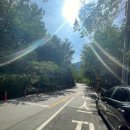 안민고개길 | 낮에 떠나는 힐링 여행 창원 진해 가볼만한 곳 안민고개